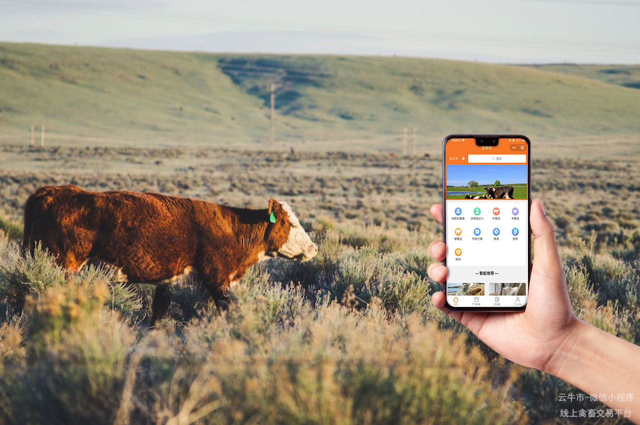 数字化网上畜禽交易平台的安全防护与风险管理