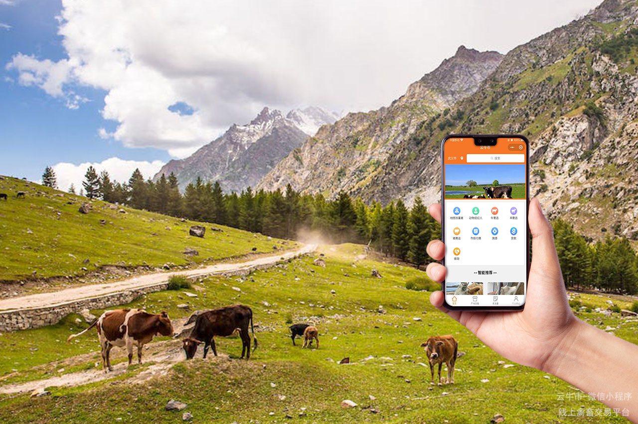 肉牛买卖，活牛销售平台的使用攻略：从注册到交易全解析