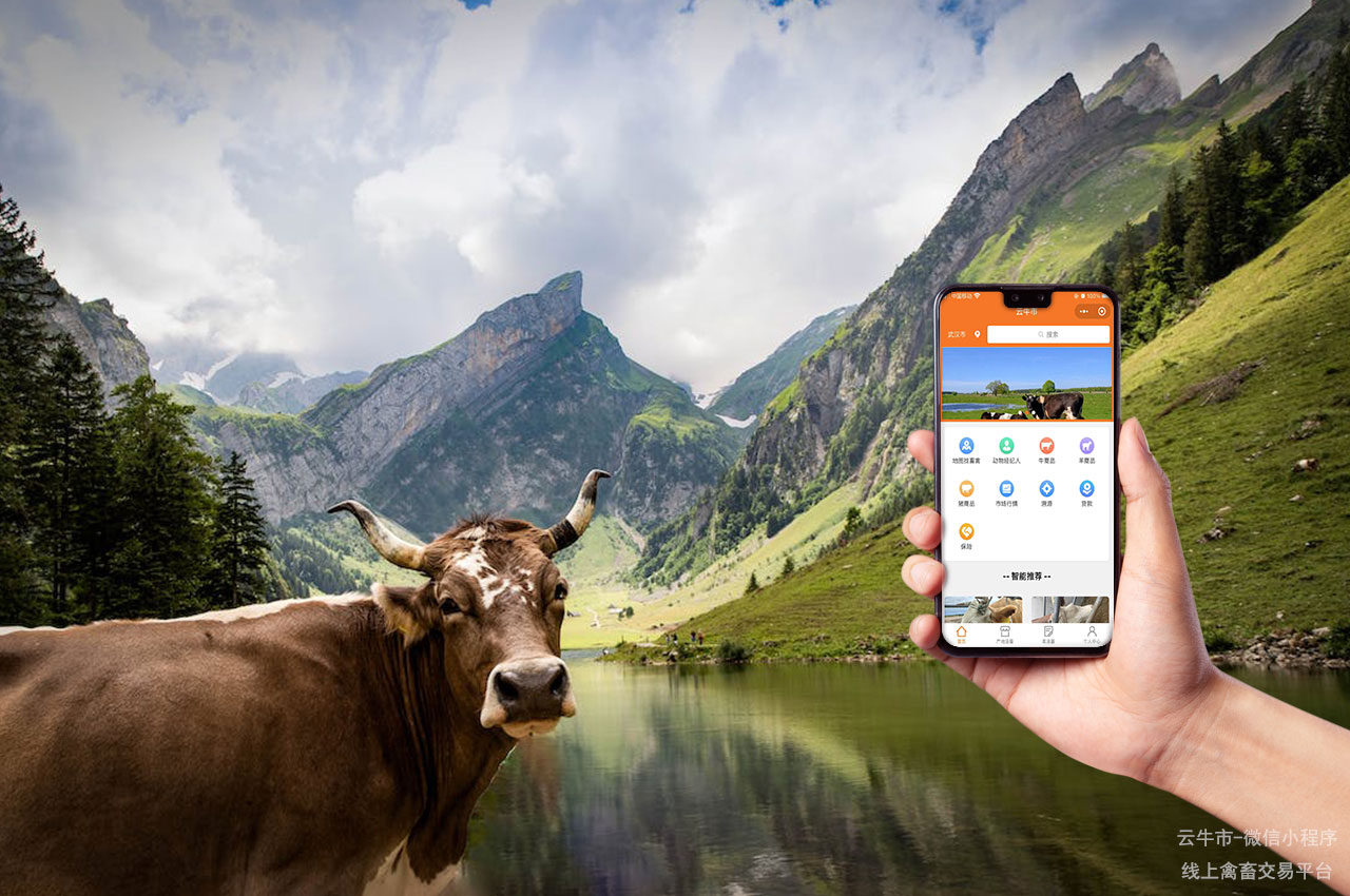 网上活牛交易平台：打造畜牧业发展的加速器