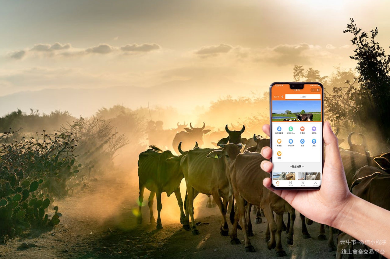 网上畜禽交易的数字化升级：智能合同与自动化流程