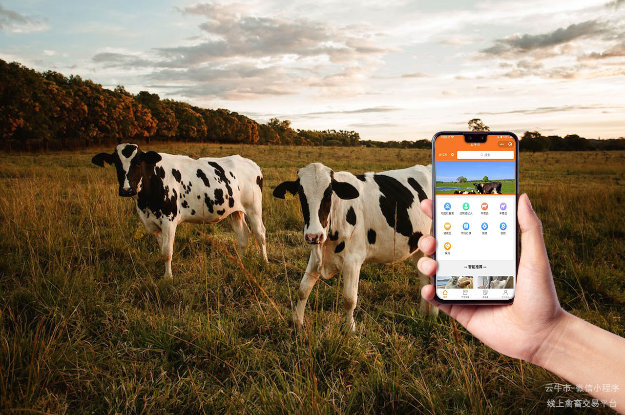 数字化畜禽交易平台的网上跨区域拓展