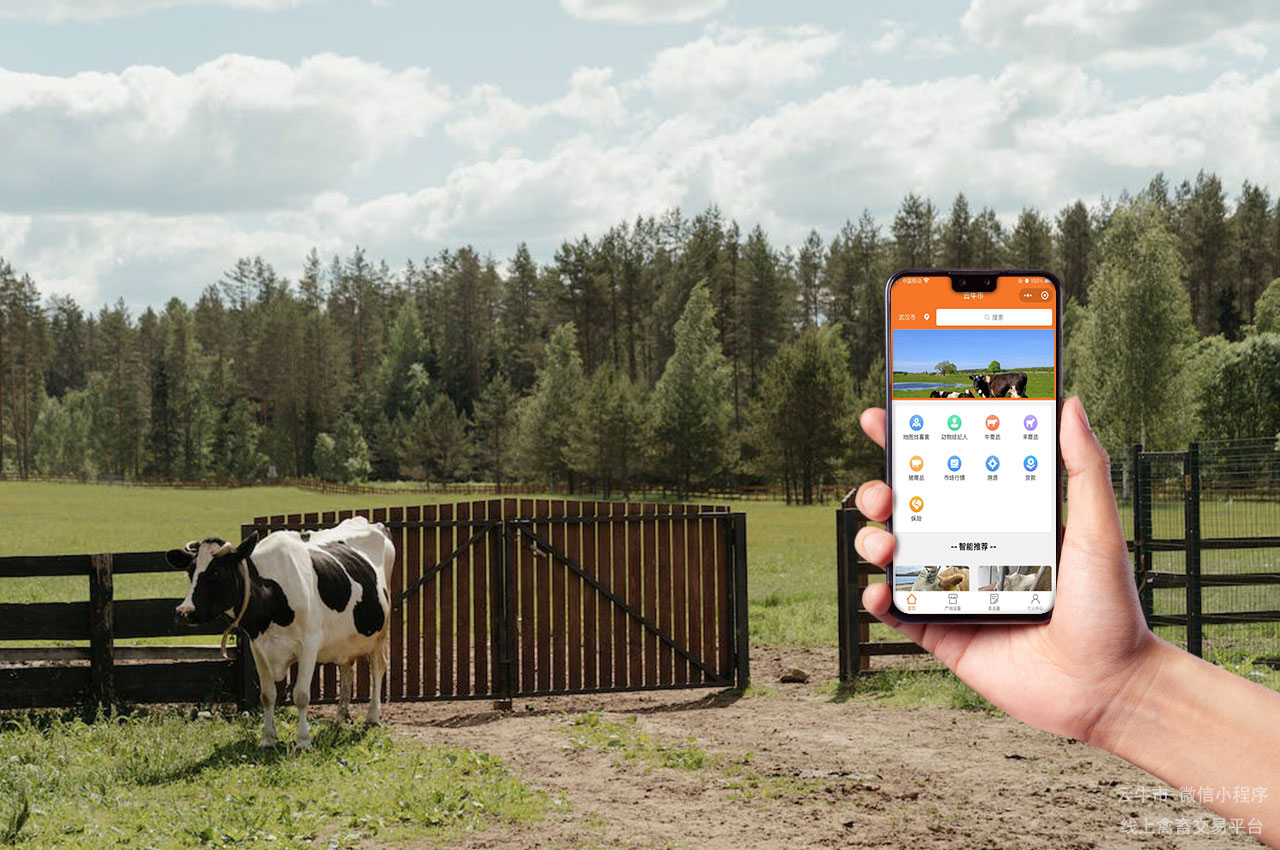 活牛买卖，太原信息化牲畜交易市场升级转型方案