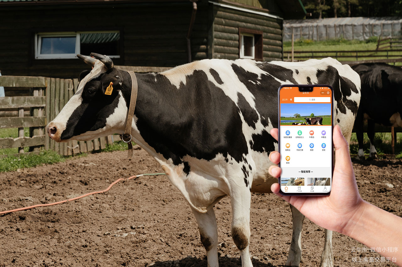 畜禽交易的数字化解决方案：高效流程与无纸化交易