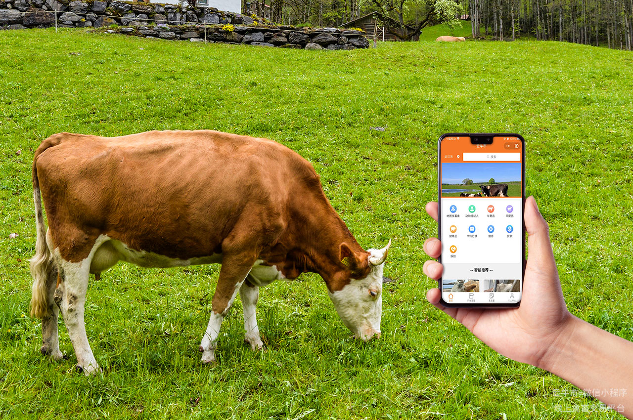 数字化畜禽交易平台的智能搜索与精准匹配功能