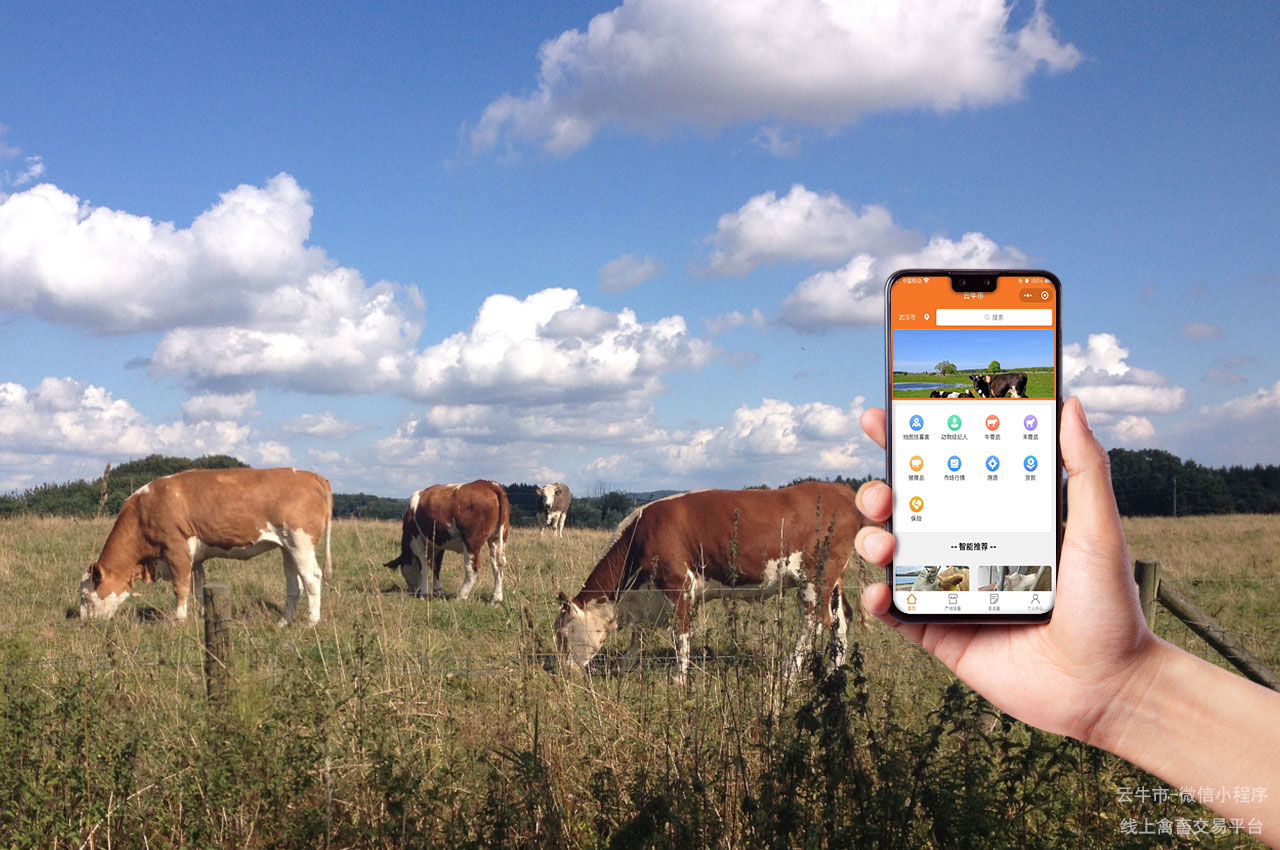 数字化畜禽交易的智能化监控与预警系统