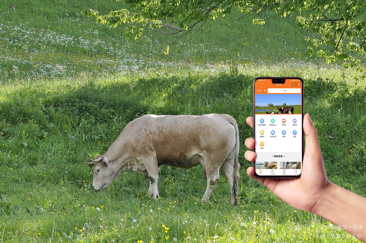 网上肉牛交易，吉林活牛交易市场：如何确保交易的安全性