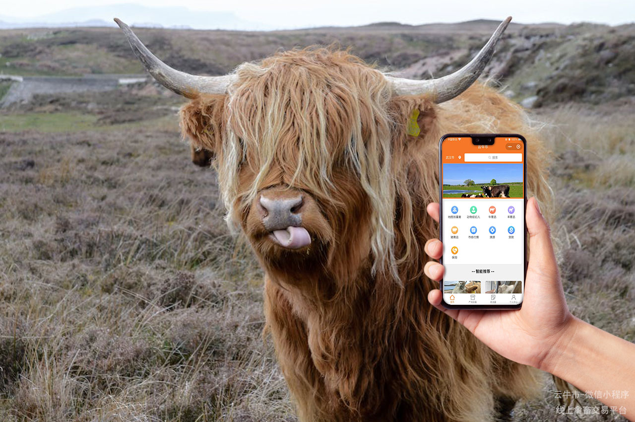 畜禽交易数字化平台的数据安全与隐私保护