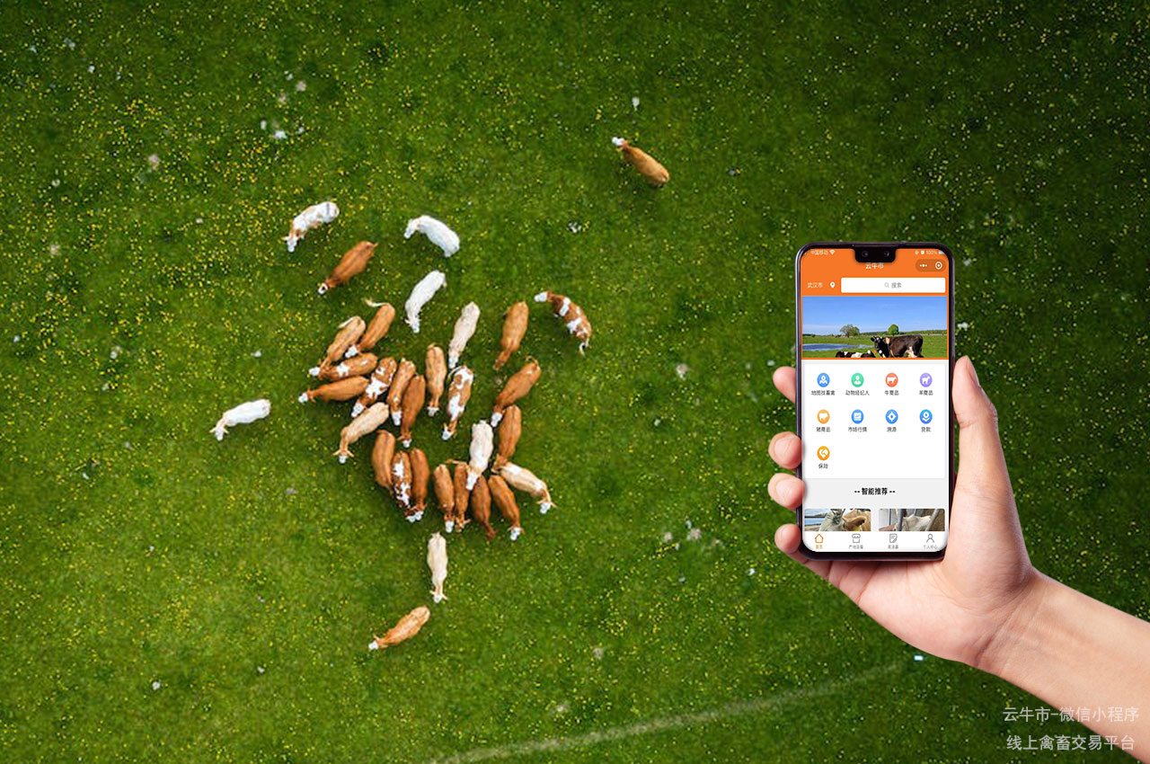畜禽交易迈入数字化时代：云牛市助力行业创新