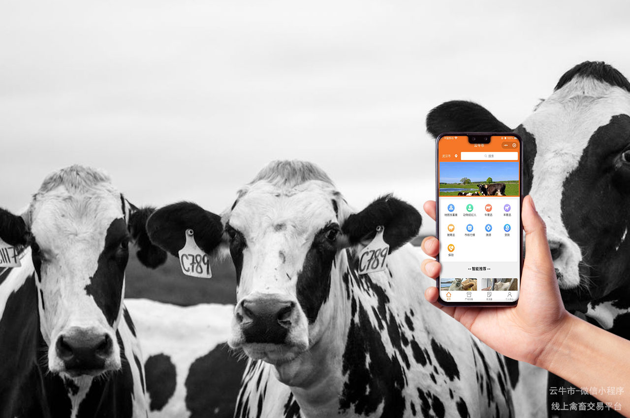 网上禽畜交易，自动化活牛市场：智能化升级的新策略